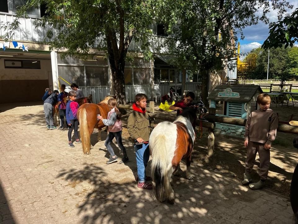 Cycle équitation en CM1